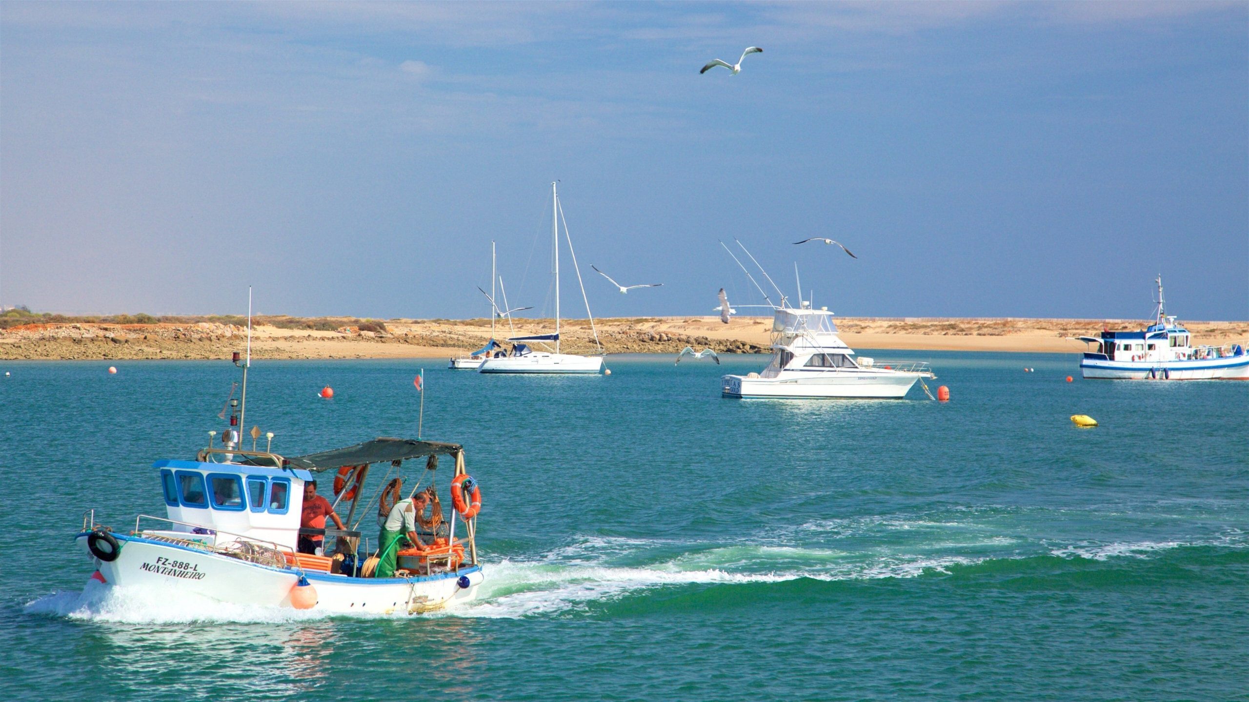 A breathtaking view of the Ria Formosa Natural Park near Faro, showcasing its calm lagoons, salt marshes, and diverse birdlife.